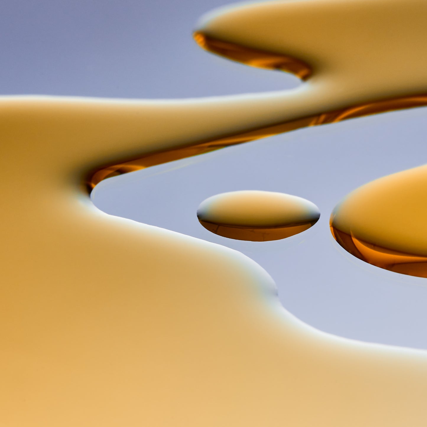 RETINOL ALTERNATIVE Bakuchiol oil (30ml)