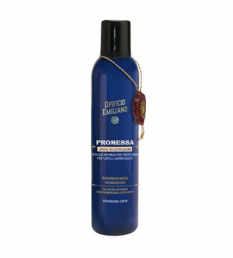Spuma Ricostruzione (250ml)